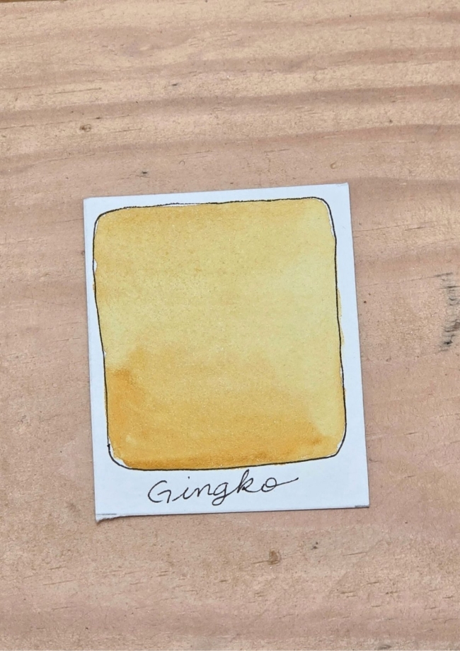 Gingko