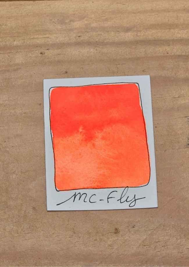 Mc Fly