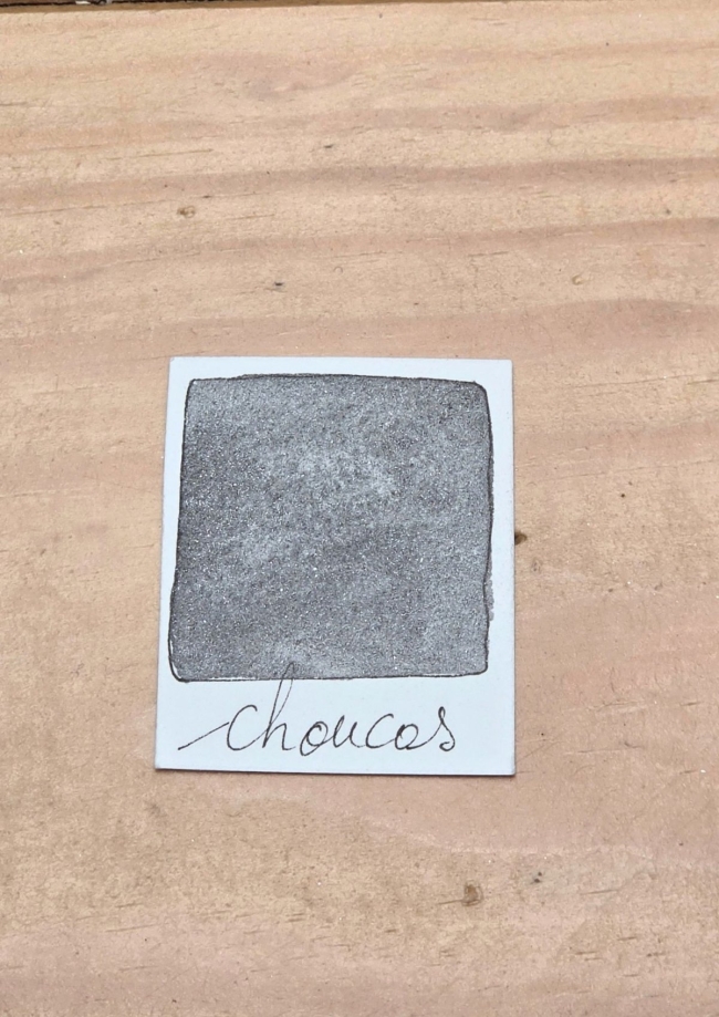 Choucas