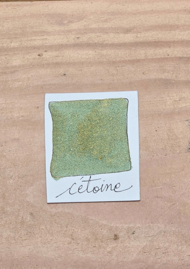 Cétoine