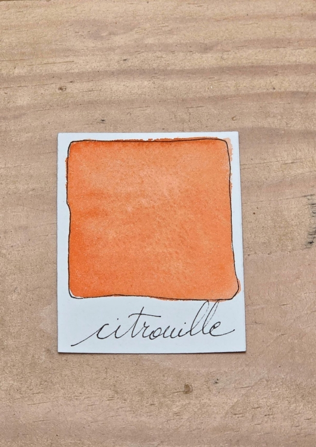 Citrouille (pré-commande à partir du 20 septembre)